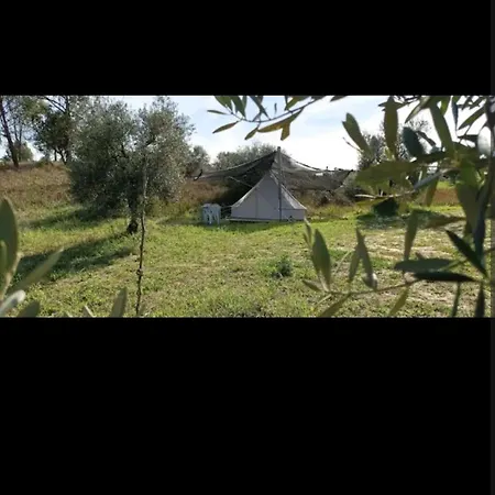 Tienda Acogedora Con Piscina 