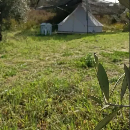 Tienda Acogedora Con Piscina 