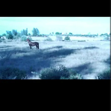 Tienda Acogedora Con Piscina 