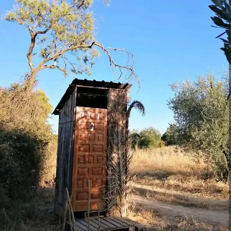 Tienda Acogedora Con Piscina 