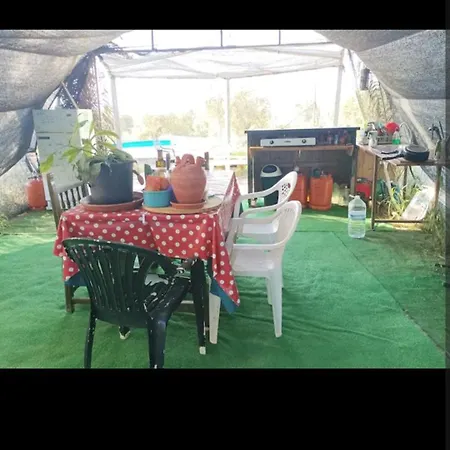 Tienda Acogedora Con Piscina 