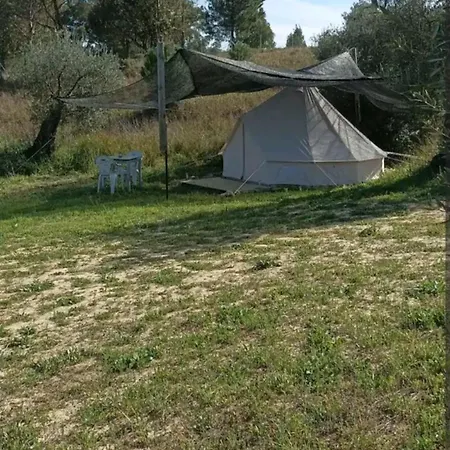 Tienda Acogedora Con Piscina 