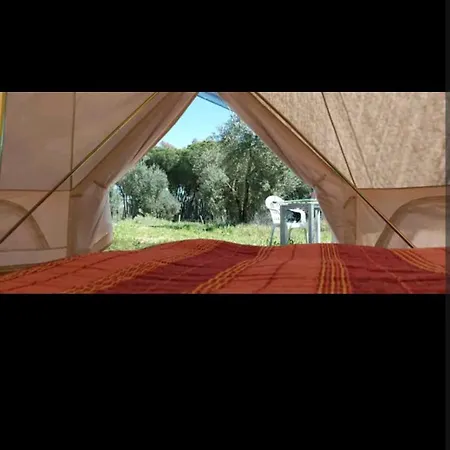 Tienda Acogedora Con Piscina 